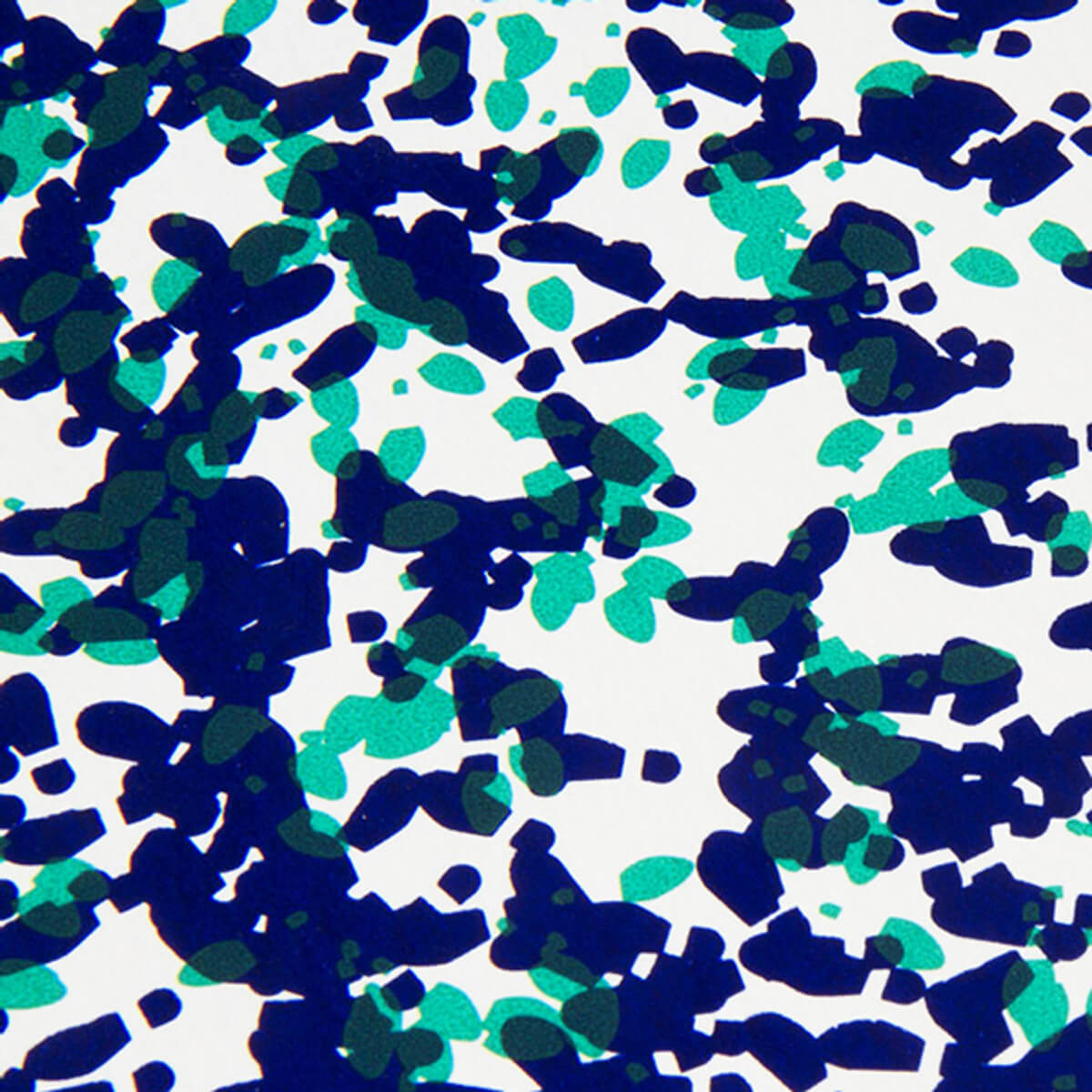 close-up of the record sleeve